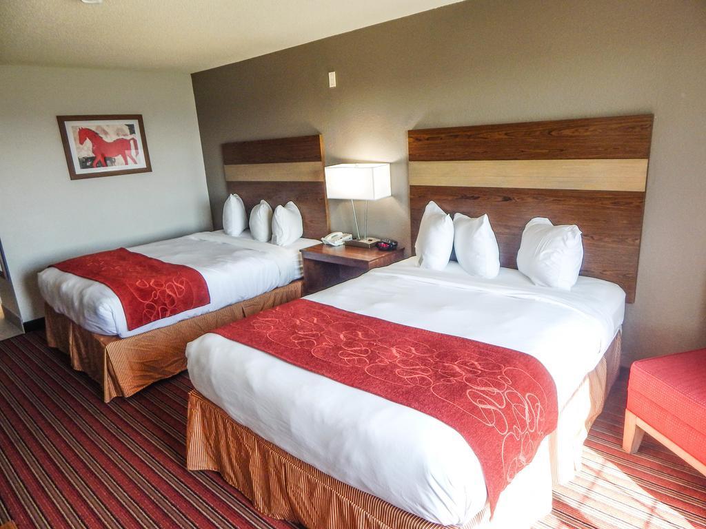 Country Inn & Suites By Radisson, Dfw Airport South, Tx เออร์วิง ภายนอก รูปภาพ