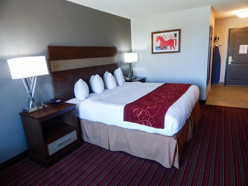 Country Inn & Suites By Radisson, Dfw Airport South, Tx เออร์วิง ภายนอก รูปภาพ